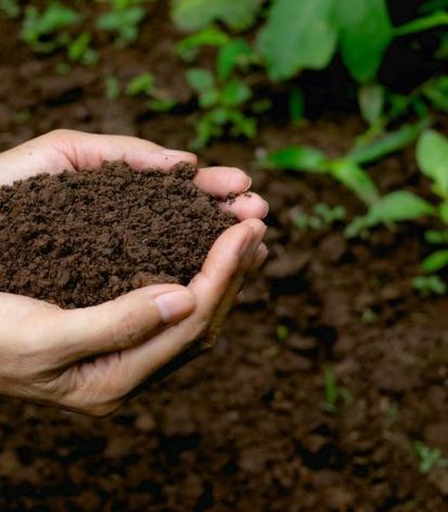 Blogue_10 commandement du potager_Jardin_Gérer son premier jardin_sol Blogue_10 commandement du potager_Jardin_Gérer son premier jardin_sol
