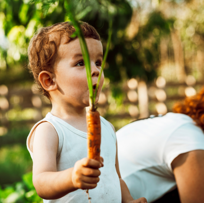 Jardiner avec les enfants