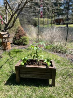 Acclimatation des jardinières