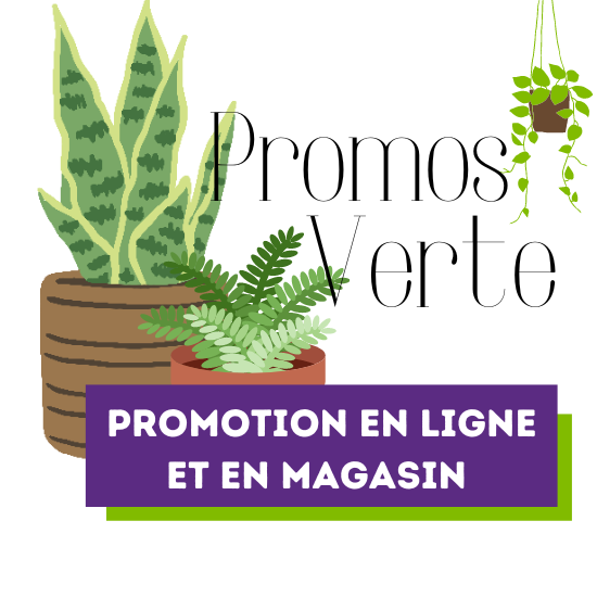 Clarico-Text-Image