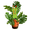 Avec Mélanie : Boîte de 10 plantes effrayantes 4.5 po