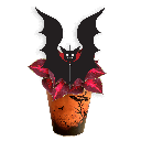 Avec Mélanie : Boîte de 10 plantes effrayantes 4.5 po