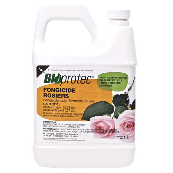 Fongicide pour rosiers Bioprotec