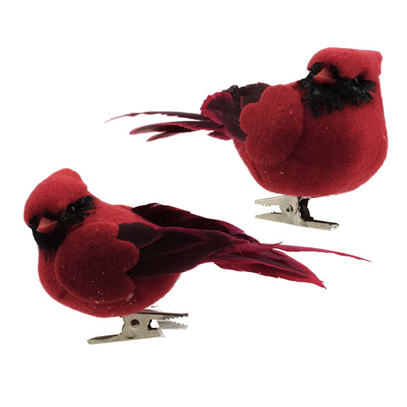Ornement: Cardinal