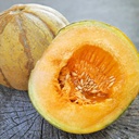 Semences melon brodé d'Oka biologique