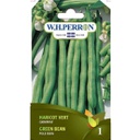 [69-5310-501] Semences haricot vert grimpant