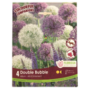 Bulbes :  Allium - Double Bubble - Ail d'ornement