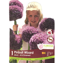 Bulbes : Allium - Pinball Wizard - Ail d'ornement