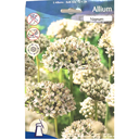 Bulbes : Allium - Nigrum