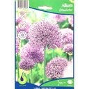 Bulbes : Allium - Gladiator