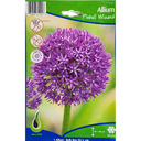 Bulbes : Allium - Pinball Wizard