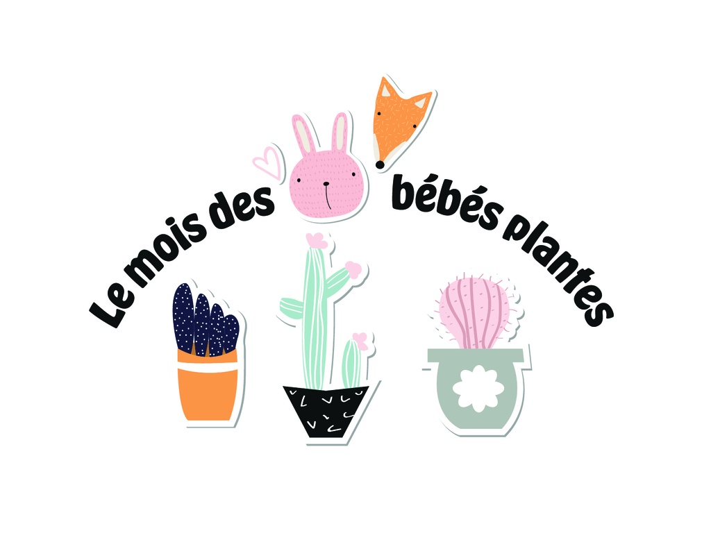 Plantes colorées (BB boîte)