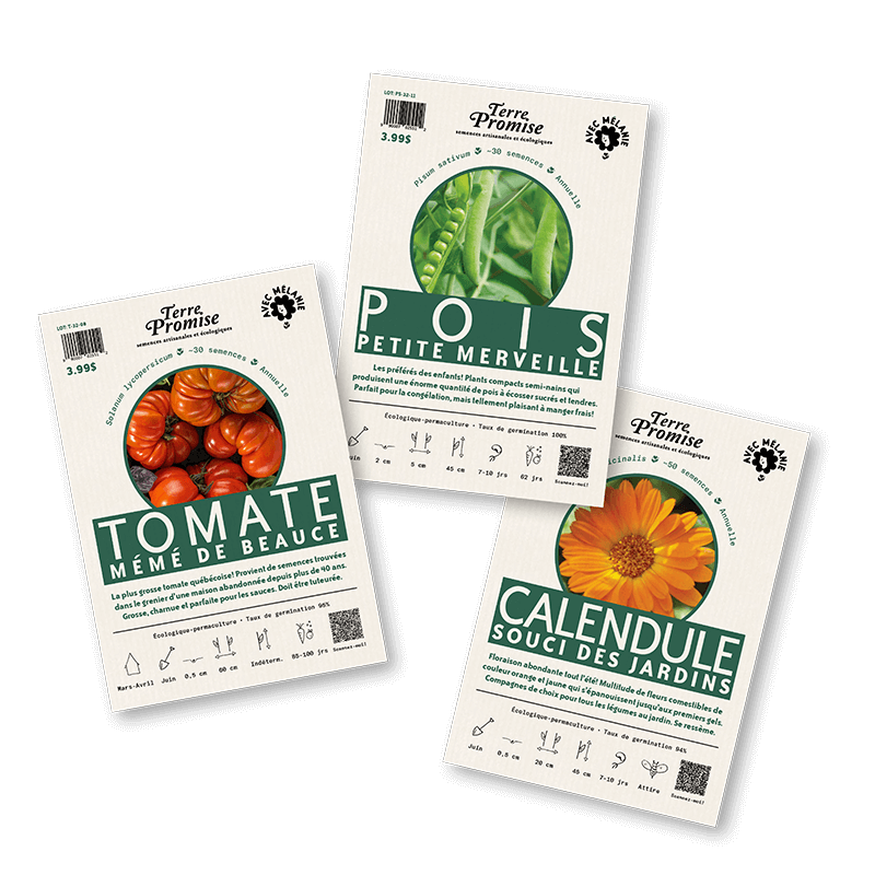 Avec Mélanie: Semences Terre Promise collection succès assurés