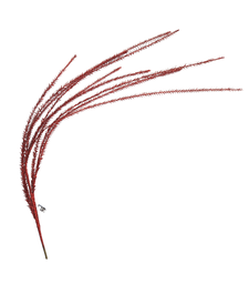 [SP1047 RE] Branche décorative : Longue fougère