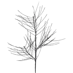 [XS974402] Branche décorative: Aiguille de pin avec paillette