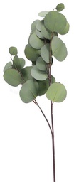[FG5353] Branche décorative: Feuille d'eucalyptus