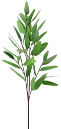 [FG5412] Branche décorative: Longue feuille d'eucalyptus