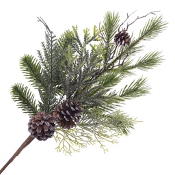 [XM-hh4547] Branche décorative: Tige de pin avec cocottes