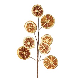 [F4202295] Branche décorative: Tranche d'orange