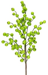 [EW006535] Branche décorative: Petites baies
