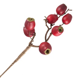 [XM-HB1753] Branche décorative: Grosses baies rouges