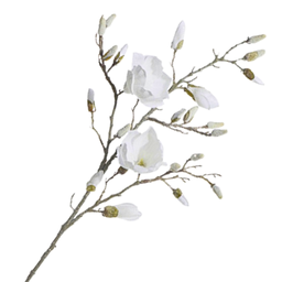 [F4341756] Branche décorative: Tige de magnolia givrée