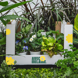 [BOÎTEPP2] Avec Mélanie : Boîte prête à planter « Potager familial » pour 4 personnes
