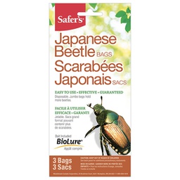 Appat a scarabees japonais