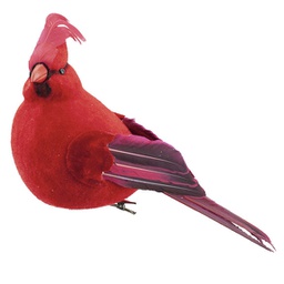 [73587] Ornement: Cardinal