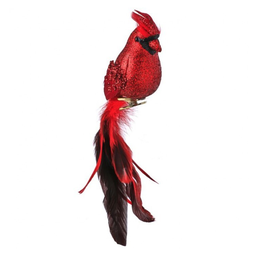 [MTX62524] Ornement: Cardinal