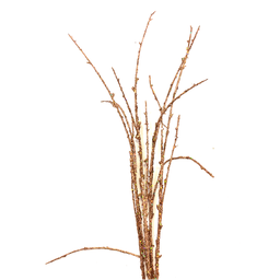 Branche décorative - Ensemble de tiges cuivrées