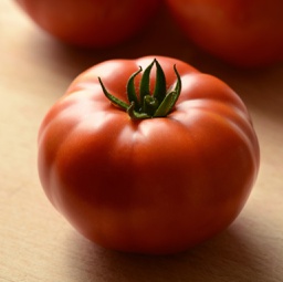 [69-9098-501] Semences tomate Heirloom rayée