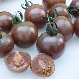 [69-9290-502] Semences tomate cerise noir