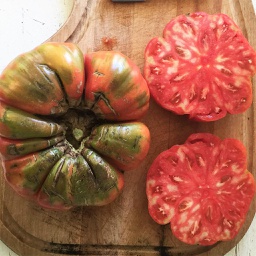 Semences tomate Adelin Morin biologique