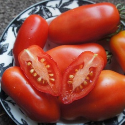 Semences tomate Dix doigts de Naples biologique
