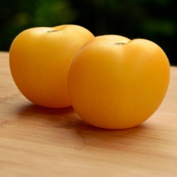Semences tomate garden peach biologique