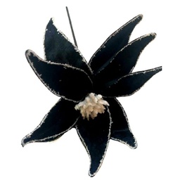 Branche décorative - Poinsettia noir