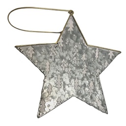 [XG1010] Cache pot de Noël étoile en métal brossé