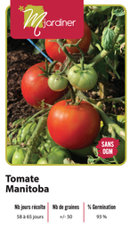 [Tomate Manitoba] Semences tomate Manitoba