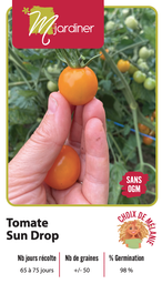 [Tomate Sun Drop] Semences tomate sun drop