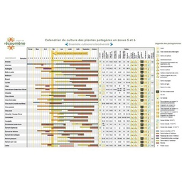 Calendrier de culture des plantes potagères en zones 5 et 6
