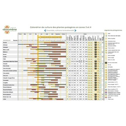 Calendrier de culture des plantes potagères en zones 3 et 4