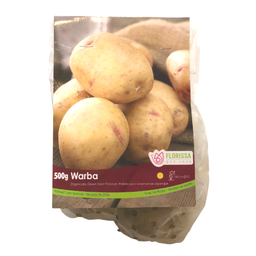 Patates pour ensemencer organique Warba